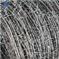 250m High strength Heavy Galvanized razor barbed wire